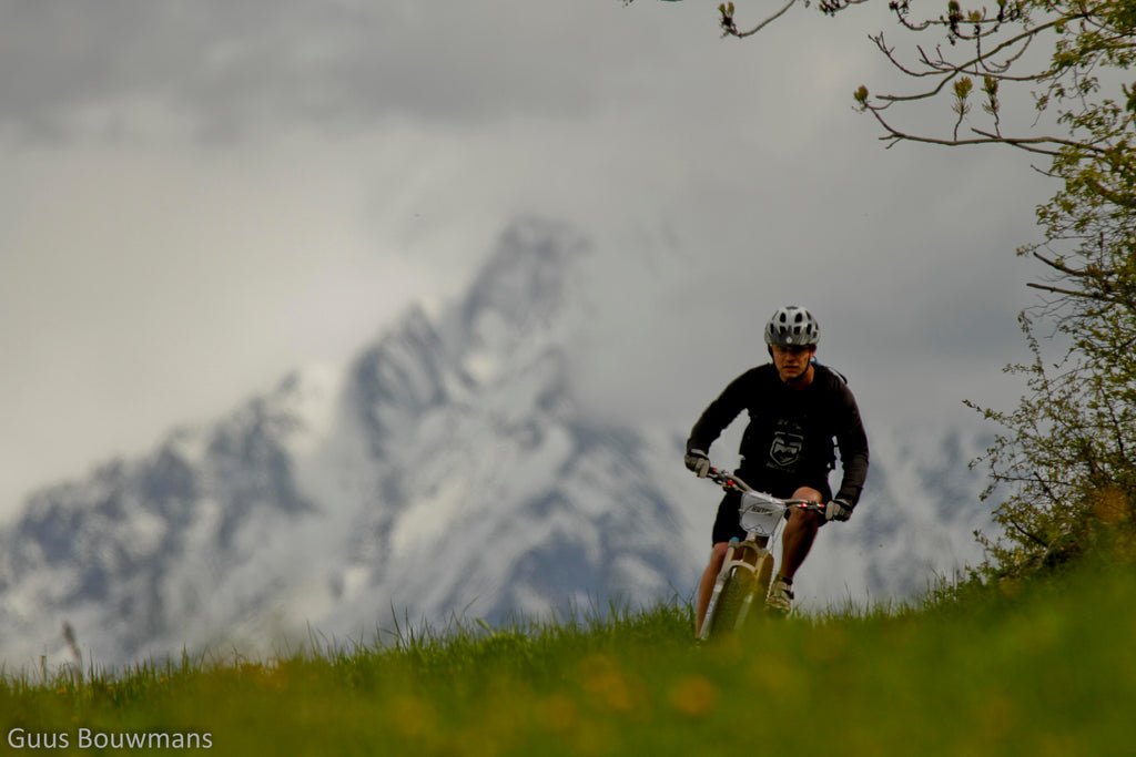 Pedro's Europe pedro's europe